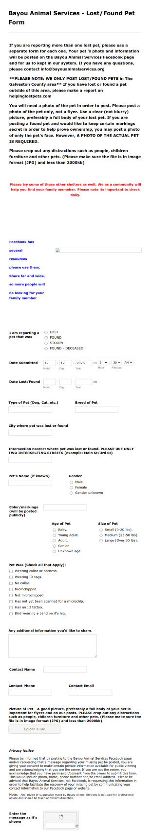 Lost And Found Pet Form Template