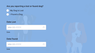 Lost & Found Dog Intake Form Template
