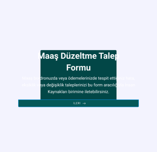Maaş Düzeltme Talep Form Şablonu