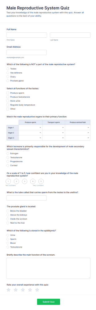 Male Reproductive System Quiz Form Template