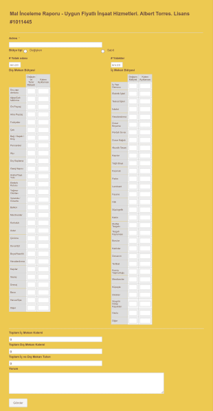 Mali İnceleme Ve Maliyet Raporu Form Şablonu