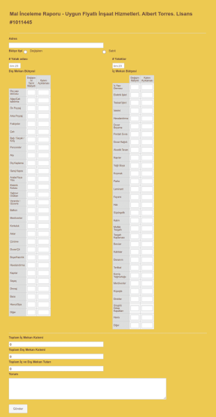 Mali İnceleme Ve Maliyet Raporu Form Şablonu