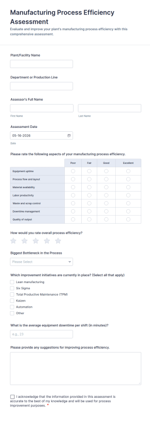 Manufacturing Process Efficiency Assessment Form Template