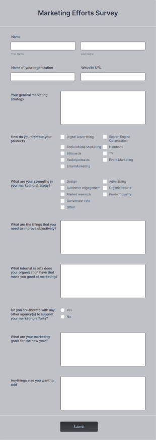Marketing Efforts Survey Form Template