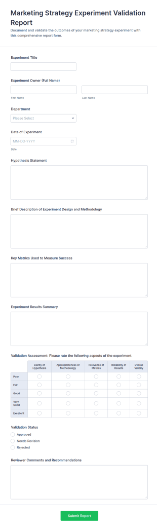 Marketing Strategy Experiment Validation Report Form Template