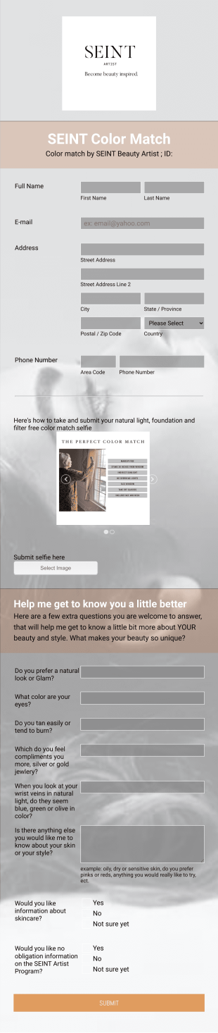 SEINT Beauty Color Match Form Template