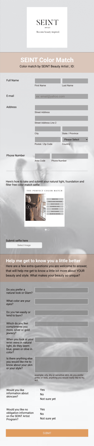SEINT Beauty Color Match Form Template