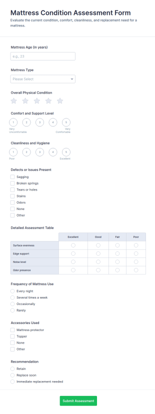 Mattress Condition Assessment Form Template