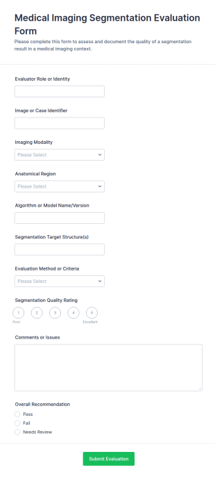 Medical Imaging Segmentation Evaluation Form Template