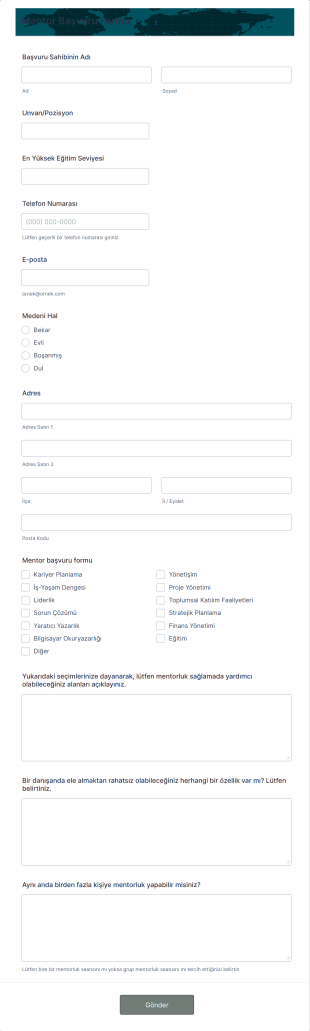 Mentor Başvuru Form Template