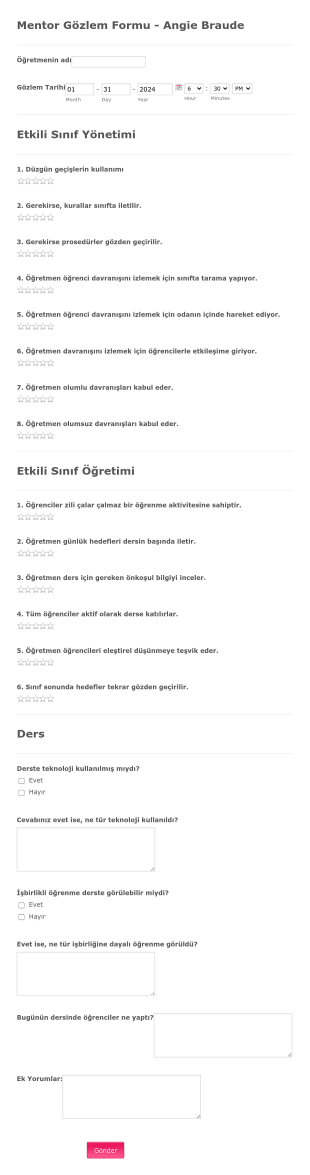 Mentor Gözlem Form Template