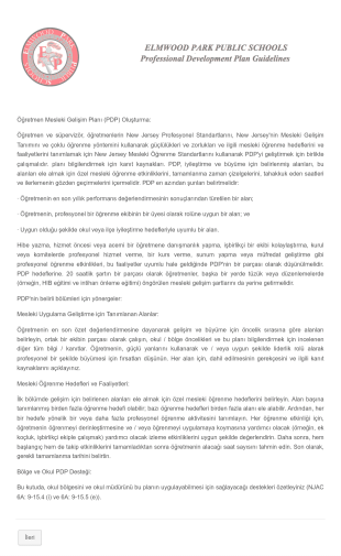 Mesleki Gelişim Planı Form Şablonu