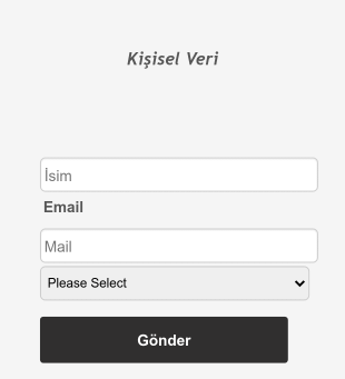 Metre'den Inch'e Dönüştürücü Form Şablonu