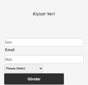 Metre'den Inch'e Dönüştürücü Form Şablonu