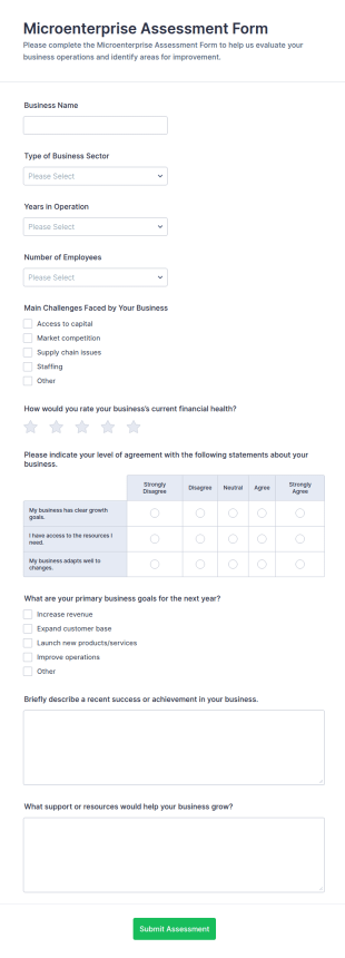 Microenterprise Assessment Form Template