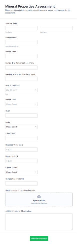 Mineral Properties Assessment Form Template