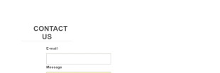 Mini Contact Form Template