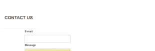 Mini Contact Form Template