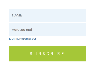 Mini Formulaire D'abonnement Form Template