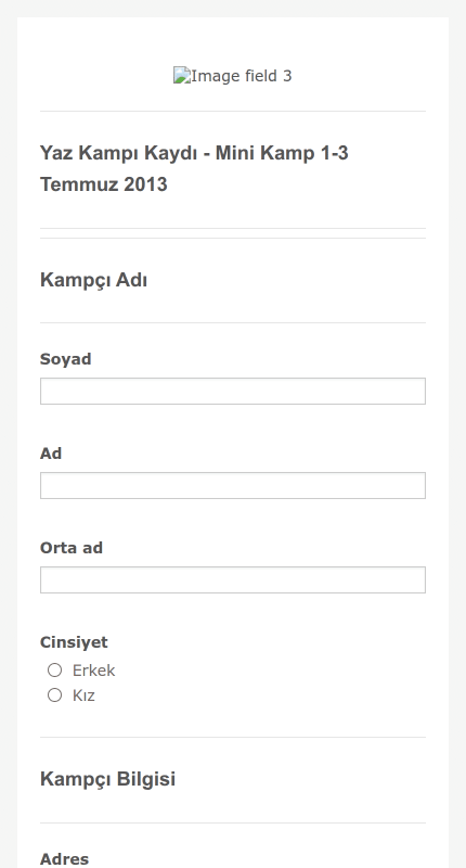 Mini Kamp Kayıt Formu Örneği