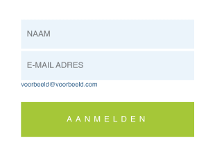 Mini Opt In E Mail & Mailingformulier