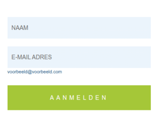Mini Opt In E Mail & Mailingformulier