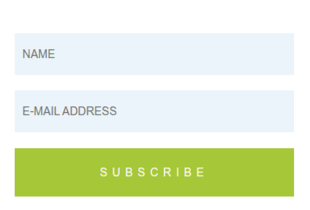 Mini Subscribe Form Template