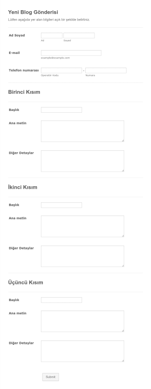Misafir Kullanici Blog Gonderisi Yayinlama Form Template