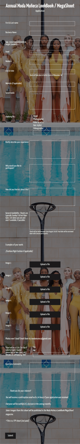 Lookbook Photo Shoot Application Form Template