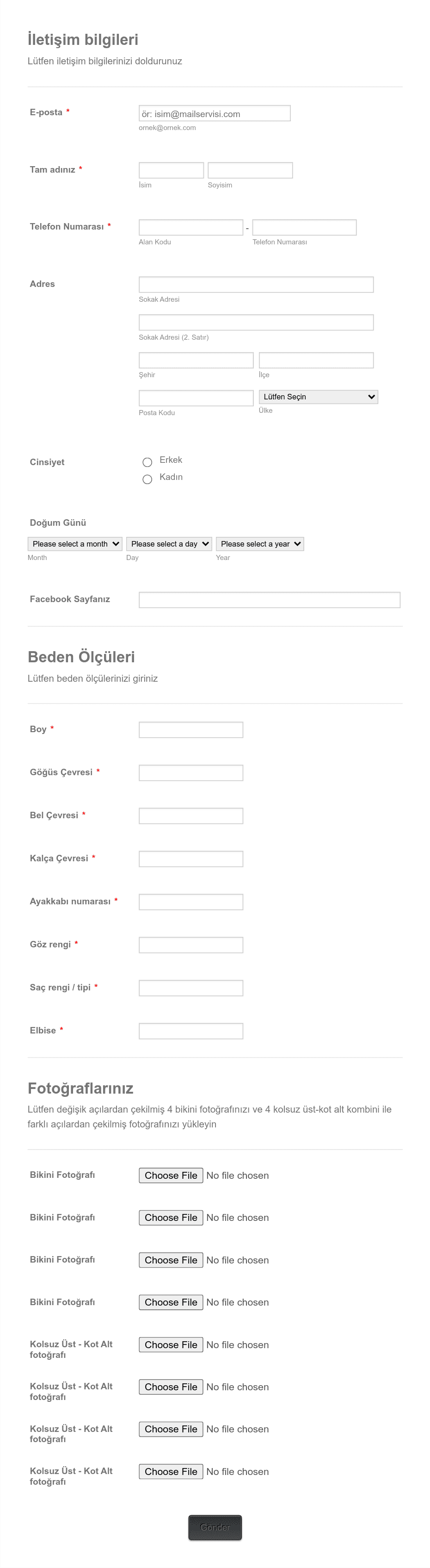 Model Başvuru Formu