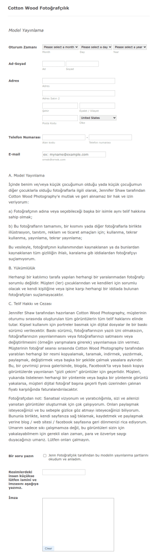 Model Yayınlama Form Şablonu