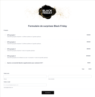 Modèle De Formulaire De Surprises Black Friday