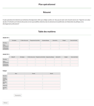 Modèle De Plan Opérationel