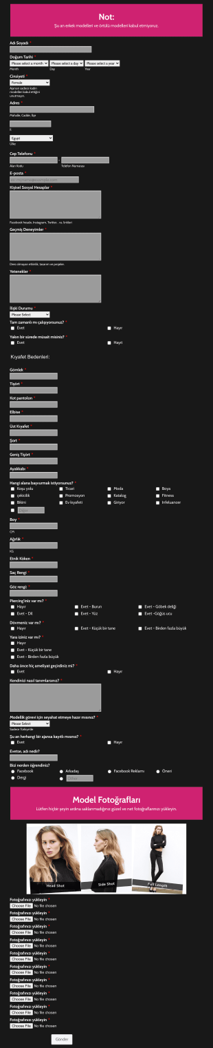 Modellik Başvuru Form Template