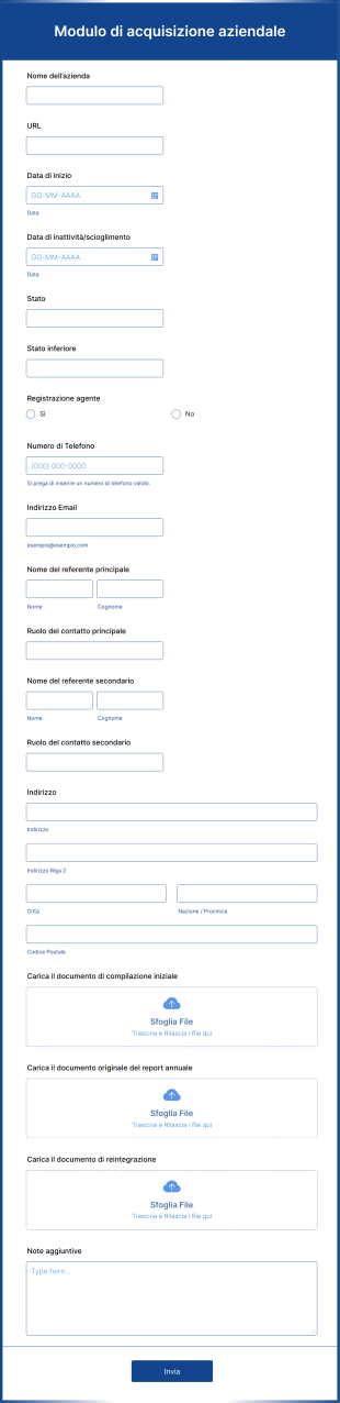 Modulo Di Acquisizione Aziendale Form Template