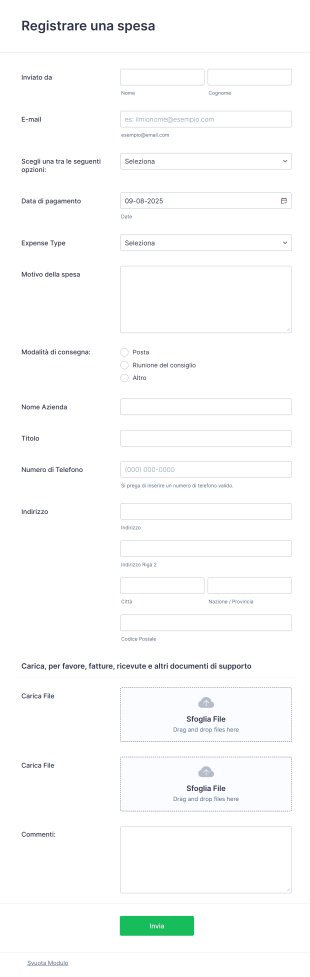Modulo Di Monitoraggio Spese Form Template