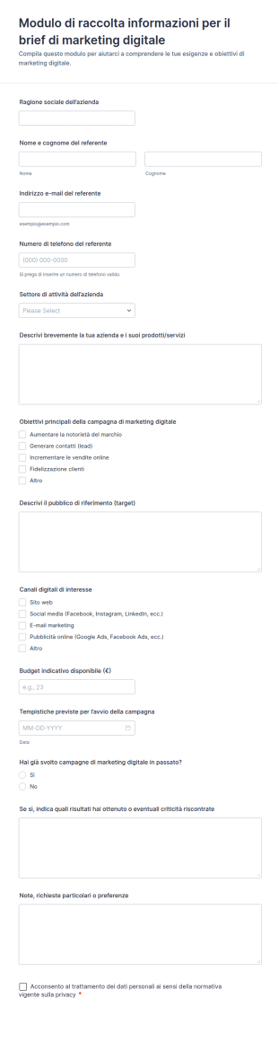 Modulo Di Raccolta Informazioni Per Il Brief Di Marketing Digitale