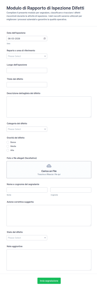 Modulo Di Segnalazione Ispezione Difetti