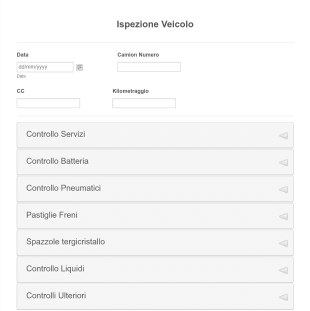 Modulo Ispezione Veicolo Form Template