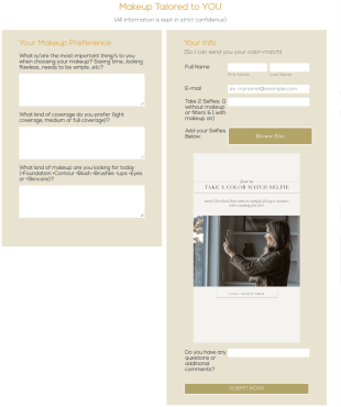 Makeup Color Match Form Template