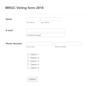 Simple Voting Form Template