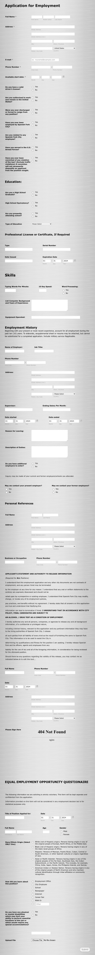 City Hall Job Application Form Template
