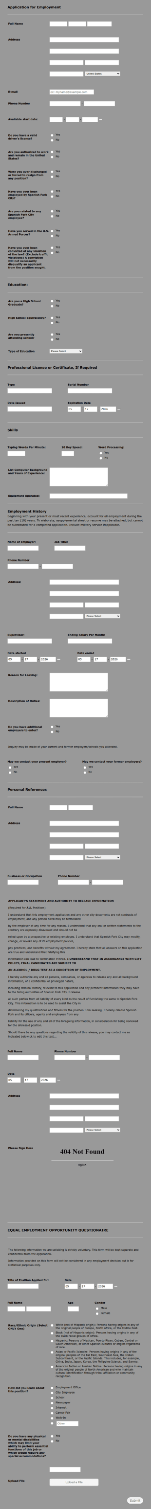 City Hall Job Application Form Template