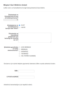 Müşteri Memnuniyeti Anketi Form Şablonu