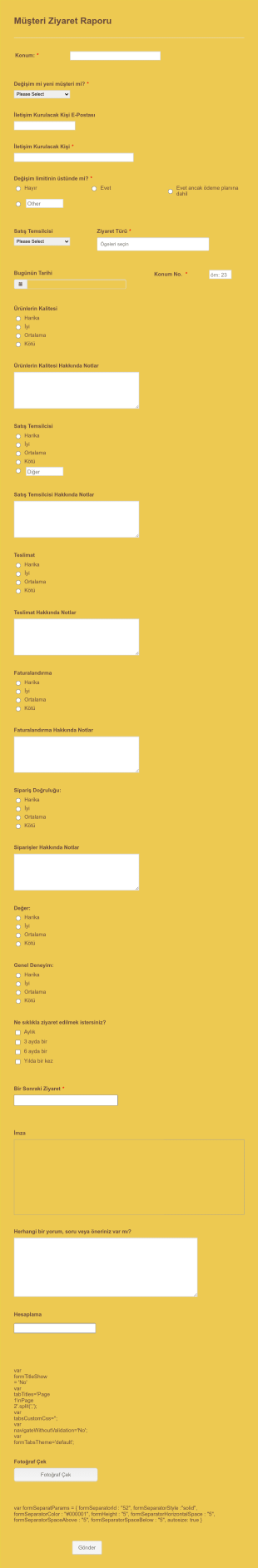 Müşteri Ziyaret Raporu Form Template