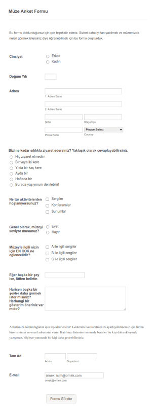 Müze Anket Form Şablonu