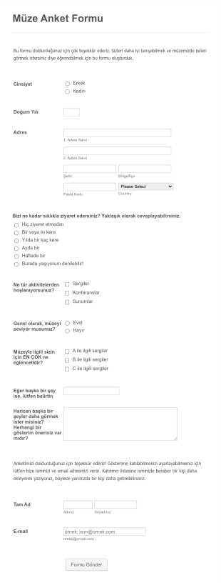 Müze Anket Form Şablonu