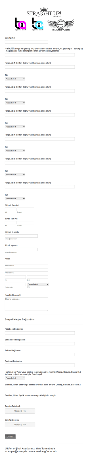 Müzik Bilgi Form Şablonu
