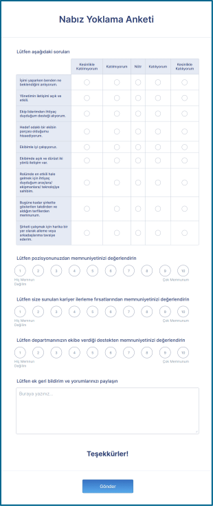 Nabız Yoklama Anketi Form Template