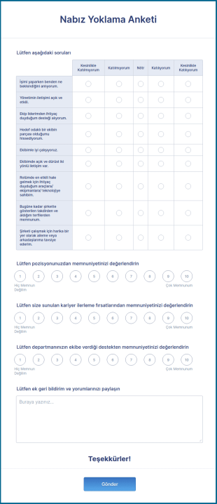 Nabız Yoklama Anketi Form Şablonu